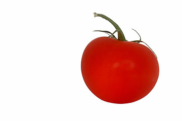 Image showing Ripe tomato on white background