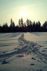 Image showing cross-country ski trail
