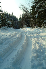 Image showing cross-country ski trail