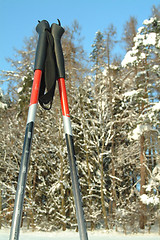 Image showing Ski poles