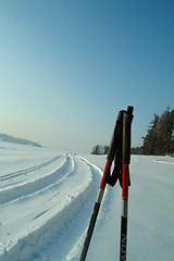 Image showing Ski poles