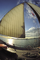 Image showing Sail