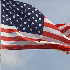 Image showing USA flag