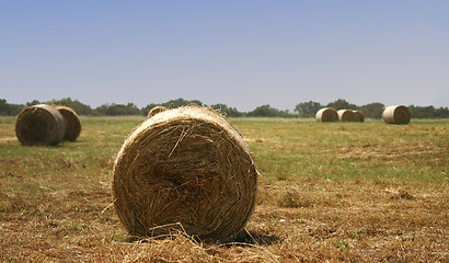 Image showing Hay stacks ready to be picked up