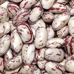 Image showing Beans