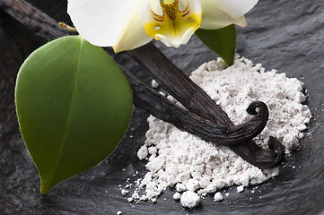 Image showing vanilla beans with aromatic sugar and flower