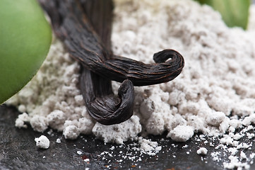 Image showing vanilla beans with aromatic sugar and flower