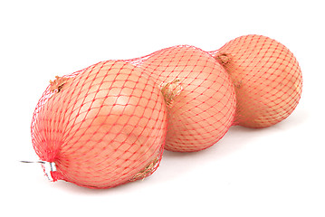 Image showing Onions