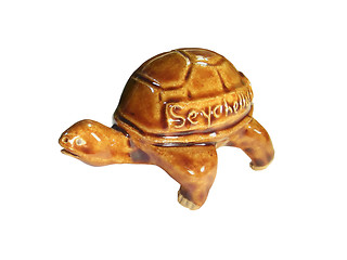 Image showing Turtle - a souvenir from the Seychelles