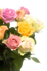 Image showing Pastel roses