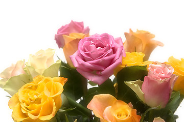 Image showing Pastel roses