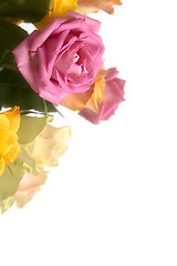 Image showing Pastel roses