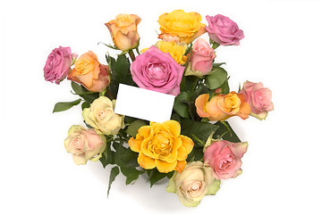 Image showing Pastel roses