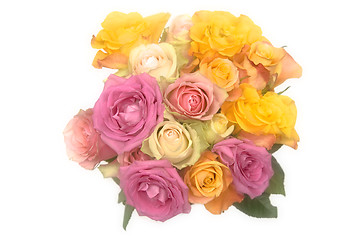 Image showing Pastel roses