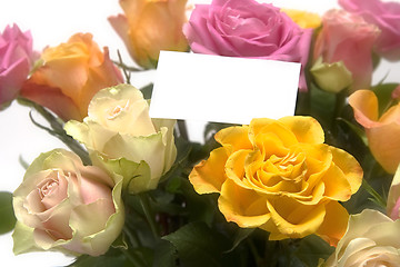 Image showing Pastel roses
