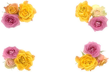 Image showing Pink and yellow roses