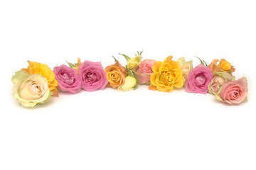 Image showing Pink and yellow roses