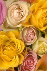 Image showing Pink and yellow roses