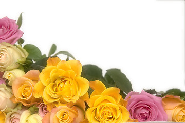 Image showing Pink and yellow roses