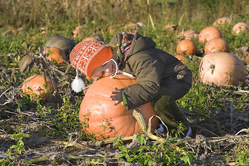 Image showing Children on pumpkin field