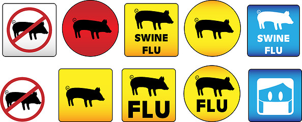 Image showing Swine Flu Signs