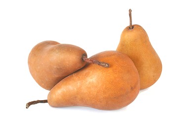 Image showing Bosc Pears