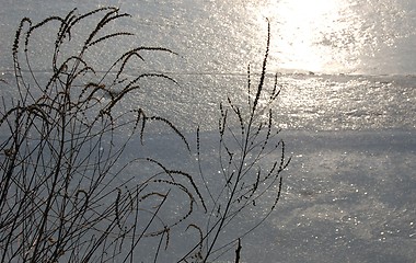 Image showing winter field