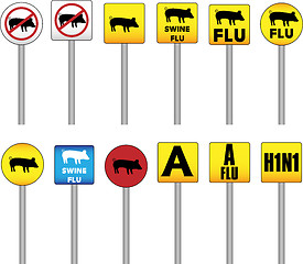 Image showing Swine Flu Signs