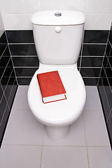 Image showing Book in the toilet