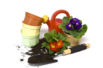 Image showing Springtime gardening