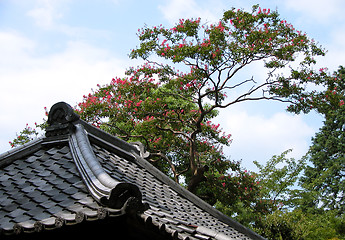 Image showing Roof Tree And Sky