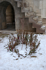 Image showing Surviving in the snow