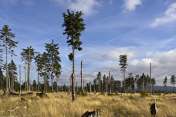 Image showing Autumnal landscape