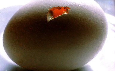 Image showing broken egg