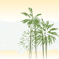 Image showing palm trees