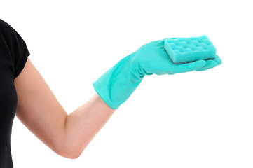 Image showing green sponge in hand