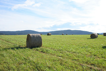 Image showing czech summer country