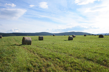 Image showing czech summer country