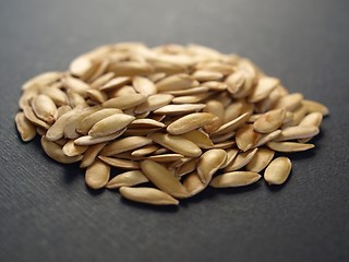 Image showing Melon seeds