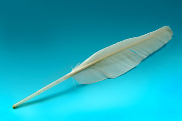 Image showing Goose feather