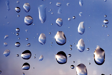 Image showing Rain drops