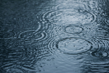 Image showing Raindrops