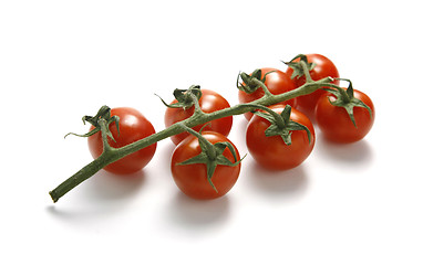 Image showing Tomatoes on white