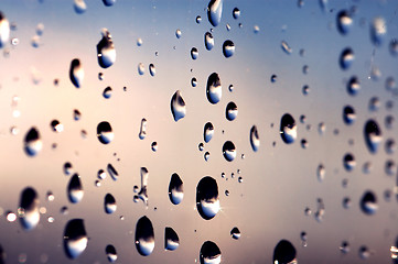 Image showing Rain drops