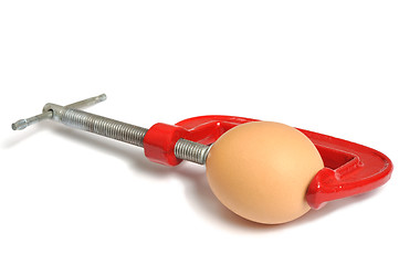 Image showing Egg in Clamp