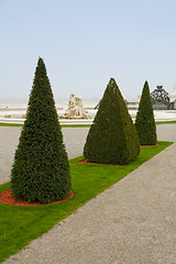 Image showing pyramid shaped trees