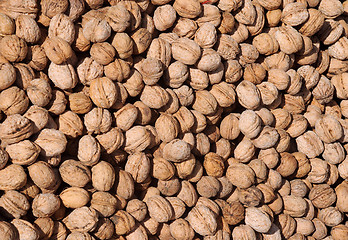 Image showing Closeup Walnuts on the Market