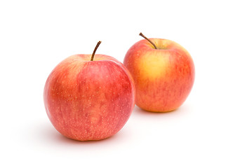 Image showing Two red-yellow apples