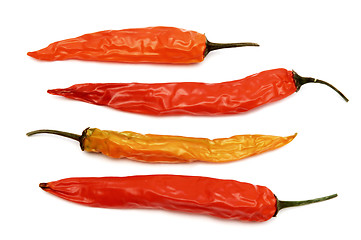 Image showing Chili peppers