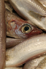 Image showing Raw fresh fish at the market, close-up